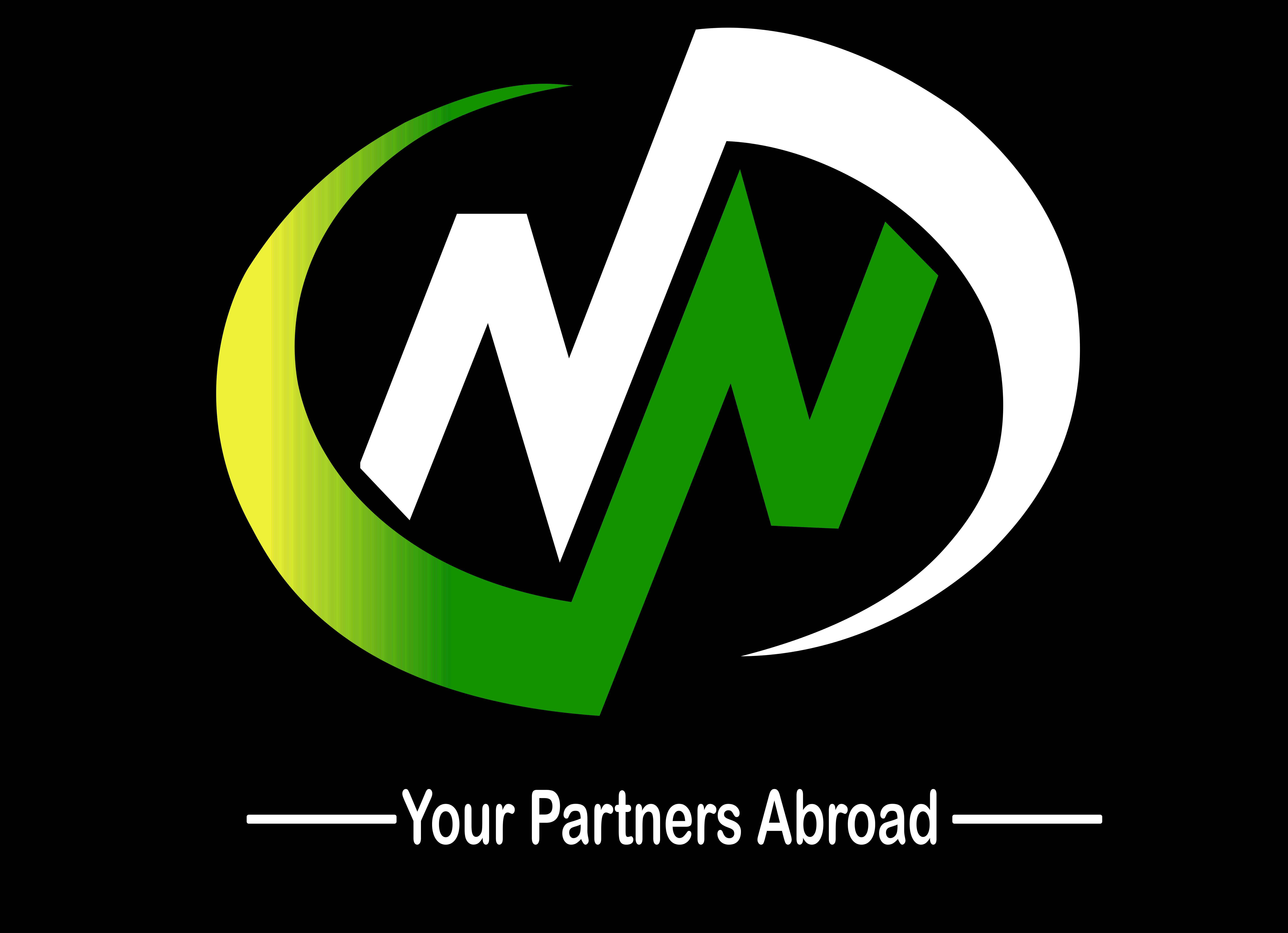 Logo preview